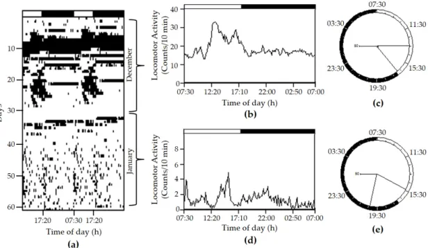 Figure 5. Representative actogram of locomotor activity of cuttlefish reared under natural conditions  of photoperiod (10:14 LD) during winter (a) and corresponding analysis for the periods of December  and January: mean waveform (b) and polar representati