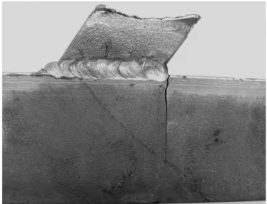 Figure 6. Crack morphology in a circumferential weld between  the plate and tube.