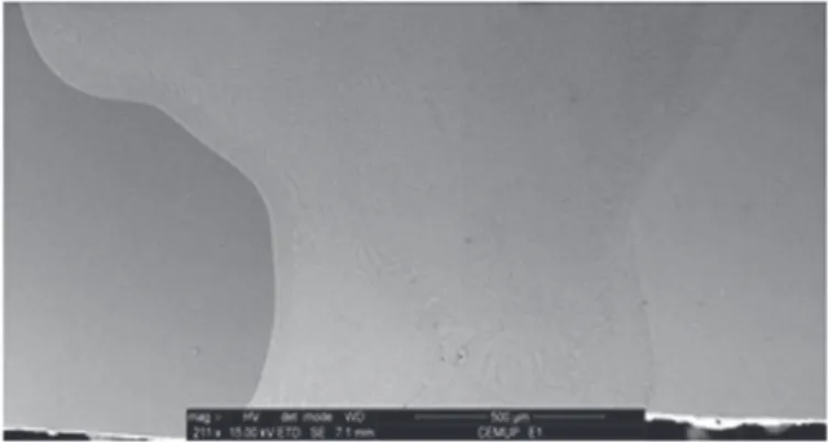 Figure 12. Macrograph of a NiTi/Ti6Al4V weld free of defects