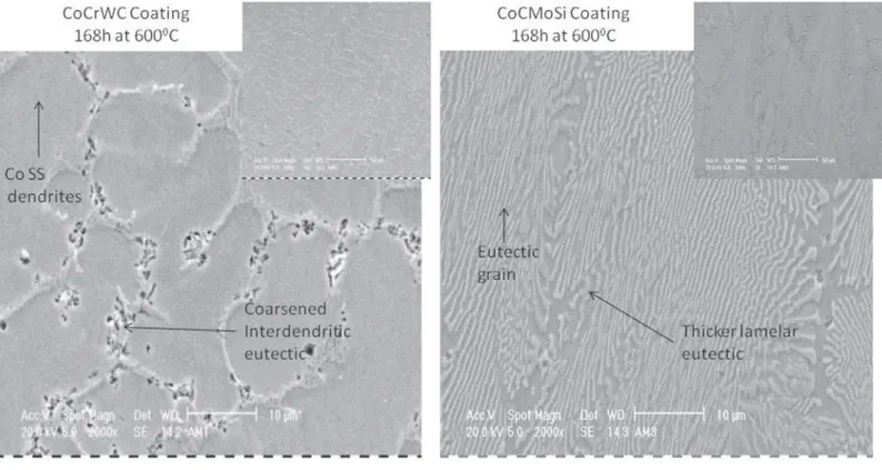 Figure 6. Cross-section microstructures of Co-based PTA coatings after long-term exposure at 600ºC.