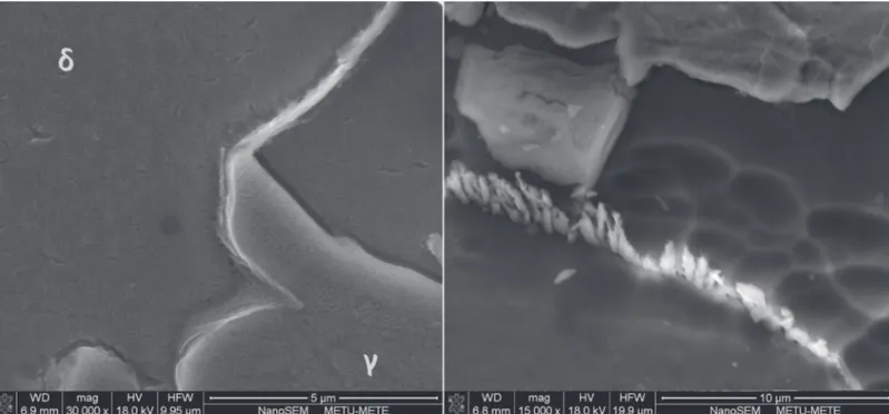 Figure 8. Intermetallic precipitations formed in δ/δ and δ/γ grain boundaries in the HAZ of the GMA weldment.