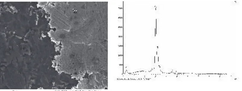 Fig. 6. EDS analysis of Ag paste adherent to the TiAlV coupon