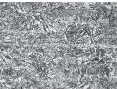 Figure 1 Representative microstructure of investigated steel in  Q&amp;T condition. Note the micron bar represents 20μm.