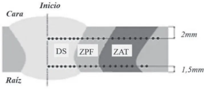 Figura 2. Esquema del barrido de microdureza MHV para  juntas soldadas. DS=Deposito de soldadura, ZPF = Zona  parcialmente fundida, ZAT =  Zona Afectada térmicamente