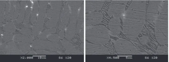 Figure 6. Microstructure of CoCrWC alloy coatings. I (A): 120.