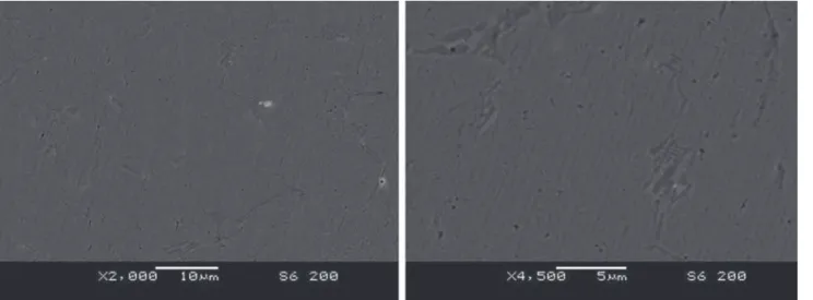 Figure 9. Microstructure of CoCrWC alloy coatings. I (A): 200.