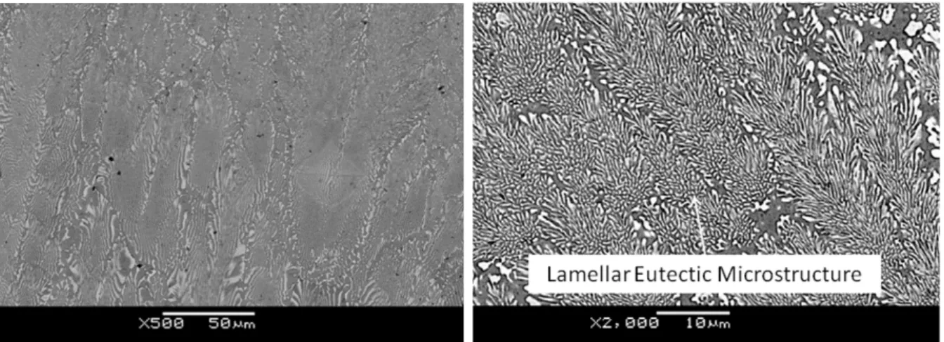 Figure 3. Eutectic microstructure of CoCrMoSi PTA coatings (120 A).