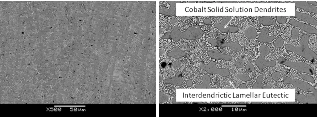 Figure 5. Hypoeutectic microstructure of CoCrMoSi PTA coatings (180 A).