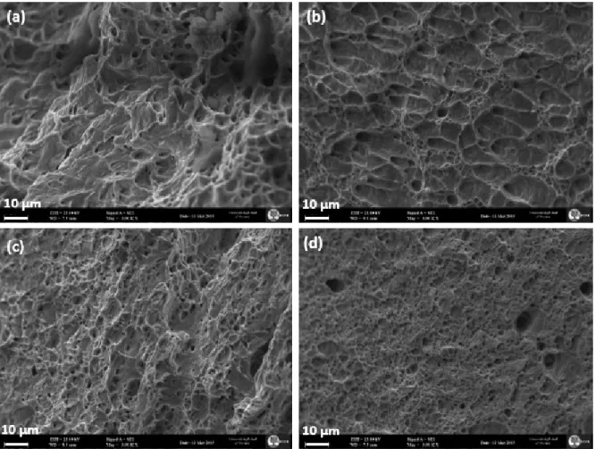 Figure 10. SEM fracture surface of samples (a) F; (b) FP; (c) FNi and (d) FNiP.