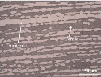 Figure 2.  Optical micrograph of the UNS S32304 base metal.