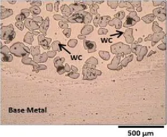 Figure 10. Distribution of WC particles at the bottom of the weld pool.
