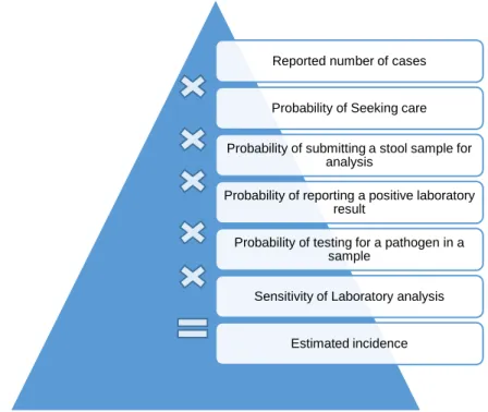 Figure 6 - Schematic of the modelling approach to estimate the total incidence of foodborne  pathogens in Denmark