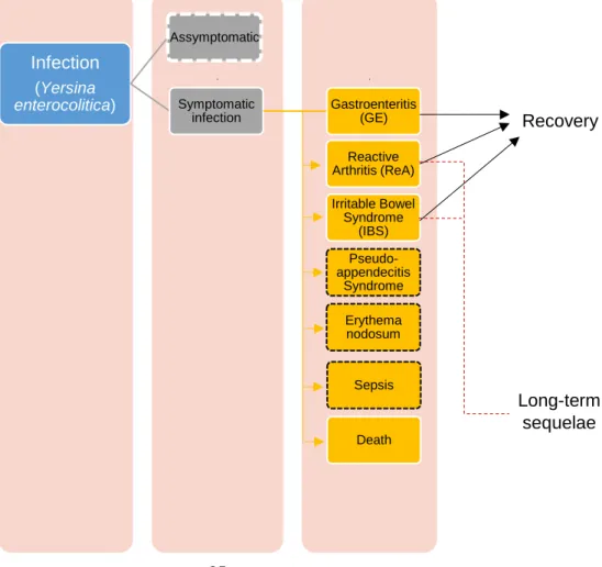 Figure 10 - Outcome tree for Y. enterocolitica. Outcomes with dashed white and black lines  are currently not considered in the model