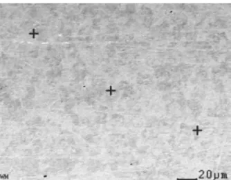 Figure 6.  Location of the points chosen to perform the EDS analysis in the base material of FSW-PA-LB-548 joint.
