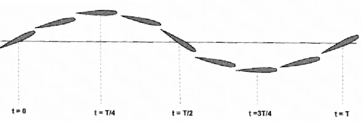 Fig. 2 – Movimento de flutter na ponta de uma asa/estabilizador. [4] 