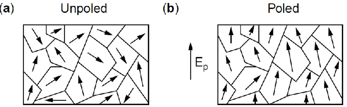 Fig. 12 –  a) Domínios ferroeléctricos antes do processo “Poling”; b) Domínios ferroeléctricos alinhados  após o processo “Poling”