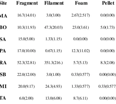 Table  4S- Detailed  frequency  of total  microplastic  items  on  each site  in  the  large  scale  study