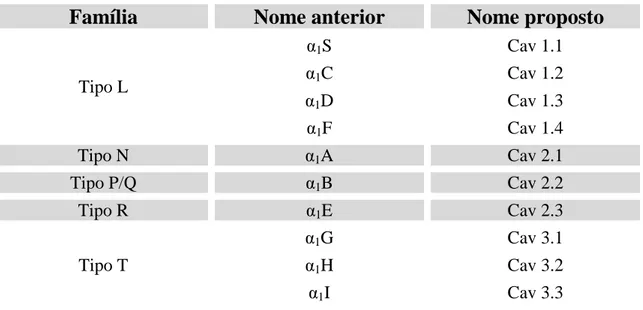 Tabela  3  –  Nomenclatura  para  os  diferentes  canais  de  cálcio  dependentes  de  voltagem (adaptado de Dolphin et al., 2006)