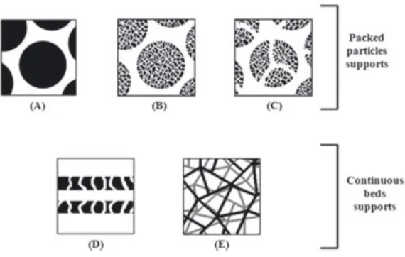 Figure  15.  Schematic  representation  of  the  physical  and  structural  properties  of  the  constituent  materials  of  different  chromatographic  supports