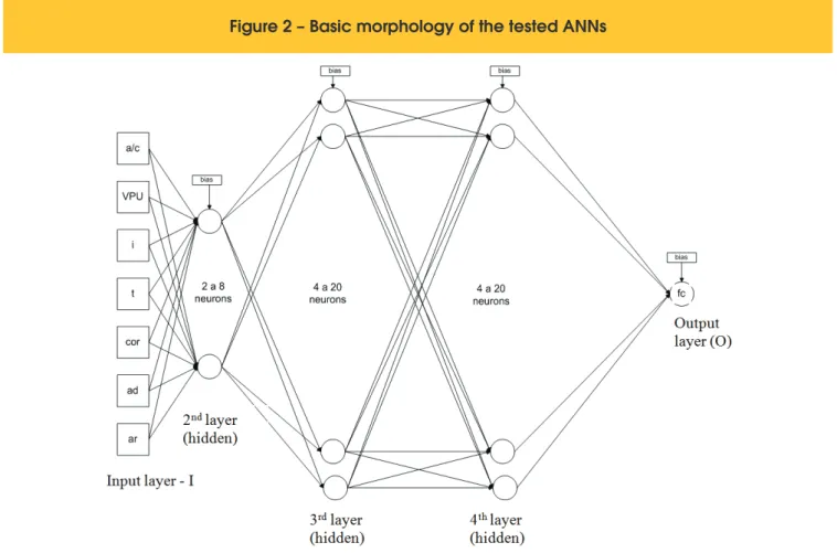 Figure 2 – Basic morphology of the tested ANNs