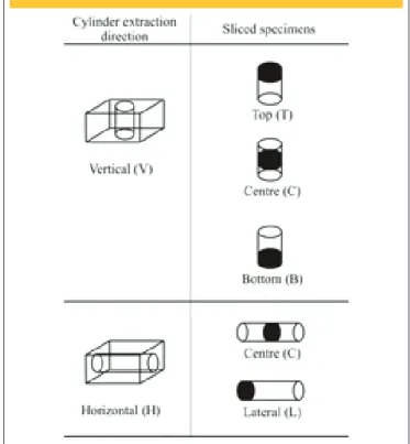 Figure 2 – Variation in the position of specimens  exposed to natural environment (Souza, [10])