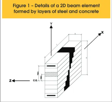 Figure 1 – Details of a 2D beam element  formed by layers of steel and concrete