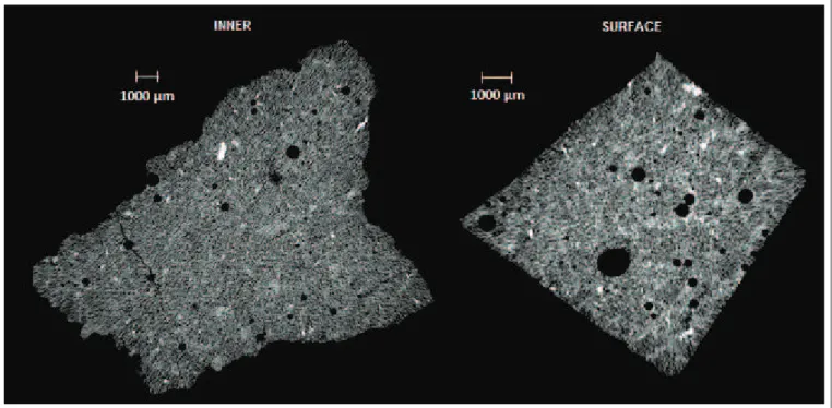 Figure 1 – Images generated from sections of the internal and external Type 1 concrete samples