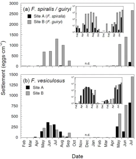 Figure 2. Monthly egg settlement from Fucus spiralis and Fucus guiryi (a) and Fucus vesiculosus (b) in site A (dark bars) and site B (grey bars) between February 2002 and July 2003