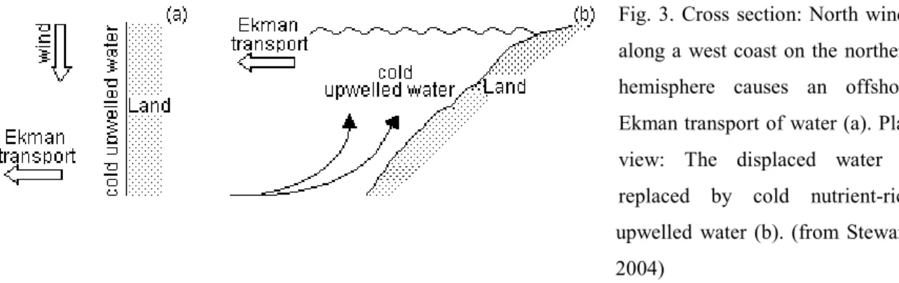 Fig. 3. Cross section: North winds  along a west coast on the northern  hemisphere causes an offshore  Ekman transport of water (a)
