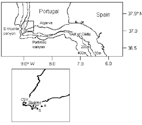 FIG. 1. Location of the sampling station (S). Cabo S. Vicente (CSV), oyster aquaculture (A)