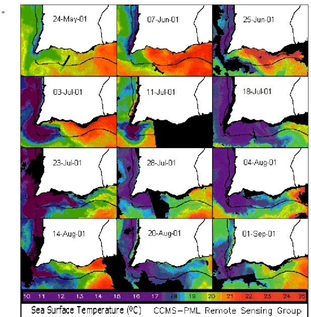 FIG. 4. Sea Surface Temperature (SST) satellite images (NOAA/AVHRR) from the South of Portugal (Algarve),  processed at the Plymouth Marine Lab, UK