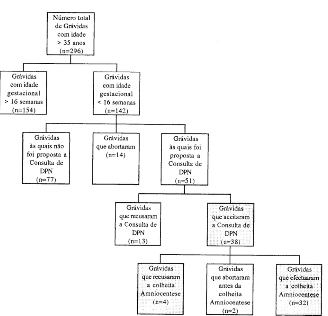 Figura 5.3.: Arvore de encaminhamento das grávidas em condições de fazer o  Diagnóstico Pré-Natal (&gt; 35 anos) na Maternidade dos HUC (1995)