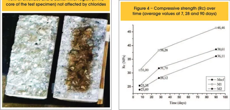 Figure 3 – Result of the sprinkling of silver nitrate on  the test specimen of reference concrete (Mref)  disrupted by diametrical compression