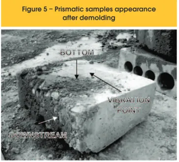 Figure 5 – Prismatic samples appearance  after demolding