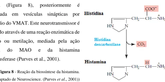 Figura 8 - Reação da biossíntese da histamina. 