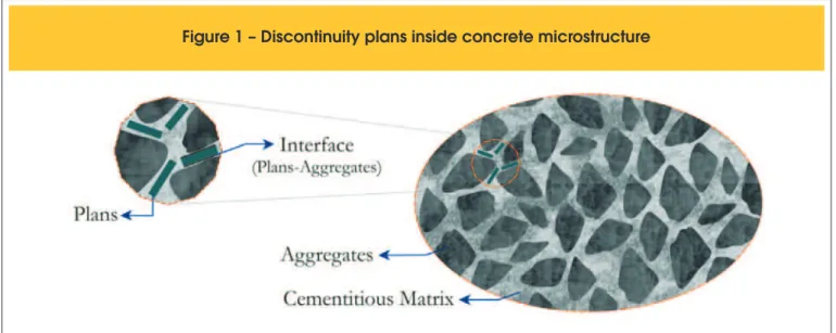 Figure 1 – Discontinuity plans inside concrete microstructure