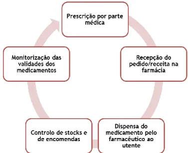 Figura 1: Circuito do medicamento pertencente ao setor de ambulatório hospitalar. 
