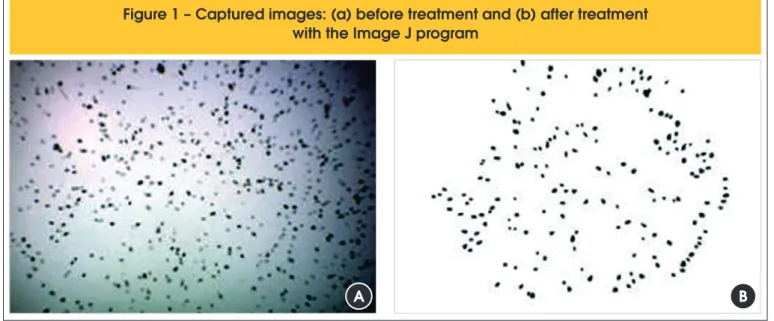 Figure 2 presents the images of the 0.6 mm fraction grains ran- ran-domly distributed (a) and oriented (b)