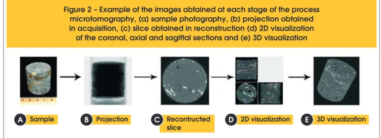 Figure 2 – Example of the images obtained at each stage of the process  microtomography, (a) sample photography, (b) projection obtained  in acquisition, (c) slice obtained in reconstruction (d) 2D visualization 
