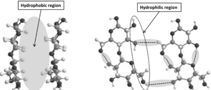 Fig  1  -  Hydrophilic and hydrophobic parts of the cellulose  molecule: (left), lateral view of the glucopyranose ring plane  showing the hydrogen atoms of C–H bonds on the axial  positions of the ring