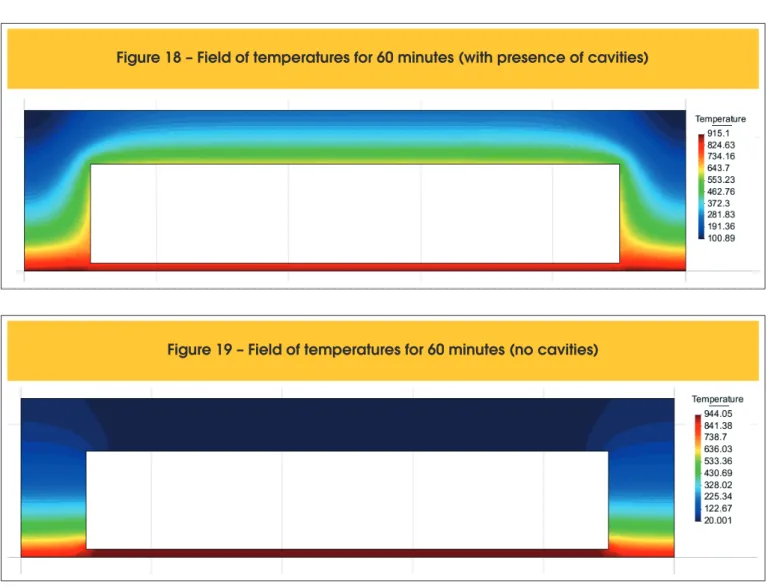 Figure 18 – Field of temperatures for 60 minutes (with presence of cavities)