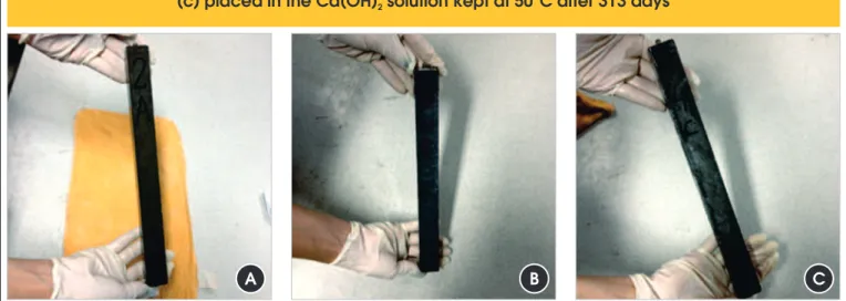Figure 5 – Prismatic bars used in the expansion evaluation  (a) placed in curing room after  327 days – (b) placed in the Ca(OH)  solution kept at room temperature after 320 days  2