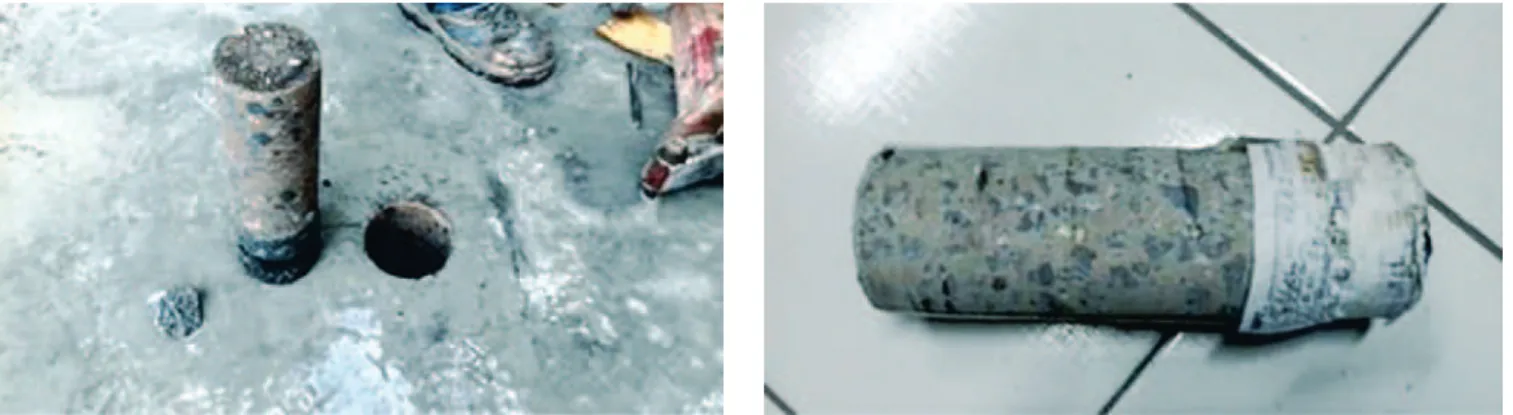 Figure 3 shows some cases of B-Scans for thickness determination. 