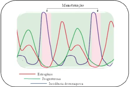Figura 2 - Representação gráfica da incidência de enxaqueca versus concentrações  plasmáticas de estrogénio e progesterona (com base em Lichten, 1996; MacGregor, 2004) 