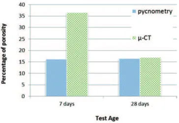 Figure 7 shows images generated from the X-ray microtomograph  readings at randomly selected ages of 7 and 28 days