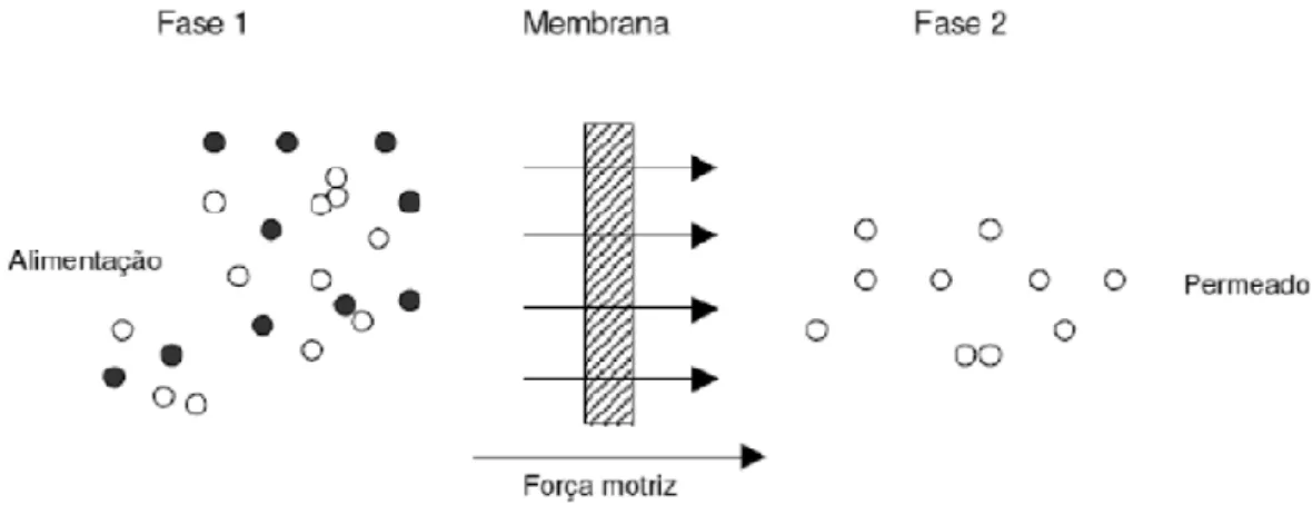 Figura 5.1 – Representação esquemática do processo de separação por membranas   (adaptado de Mulder, 1997)