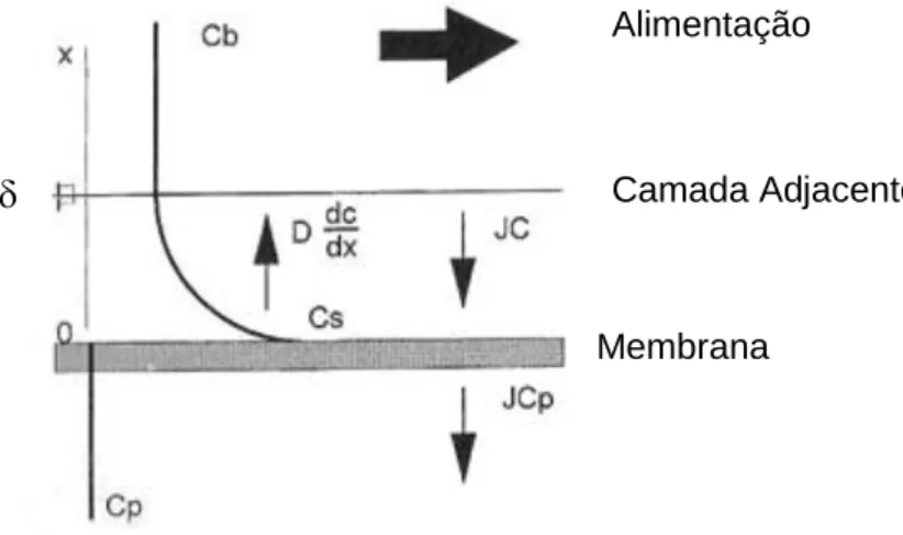 Figura 5.4 - Polarização de concentração; perfil de concentrações em estado estacionário na  fase fluida adjacente à membrana (Adaptado de Taylor &amp; Jacobs, 1996)