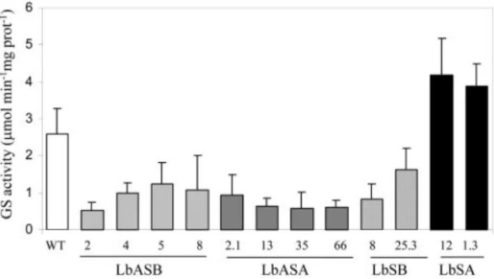 Figure 2. Root nodule GS activity in transgenic plants. GS activity was determined in root nodules of at least six plants of each of the 12 independently transformed lines harboring constructs LbASB, LbASA, LbSB, LbSA, and compared with untransformed contr