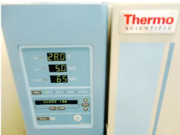 Figure 4 shows the average values of the pHs measured on the top  and base surfaces of each of the eleven specimens tested