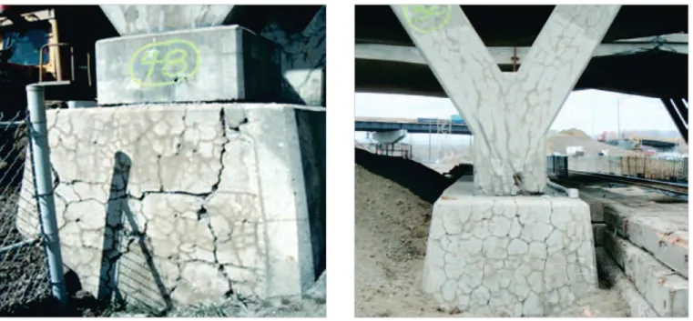 Figure 1) and the loss/reductions in mechanical properties, physi- physi-cal  integrity,  durability  and  performance  of  the  afected  material,  as well as their structural implications